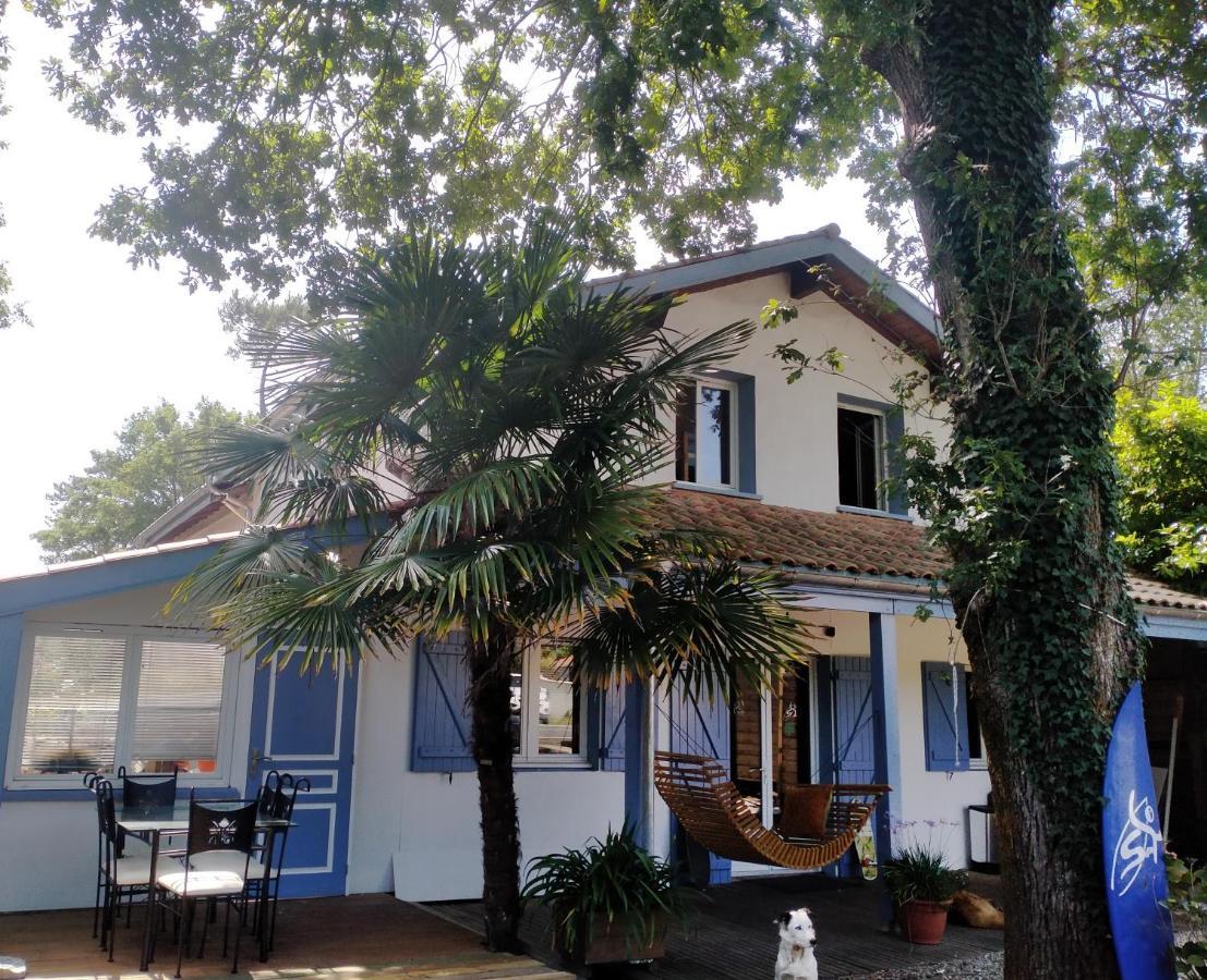 Shifting Sands Surf Camp Hostel Labenne Exterior photo